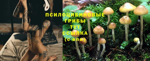 герыч Мегион