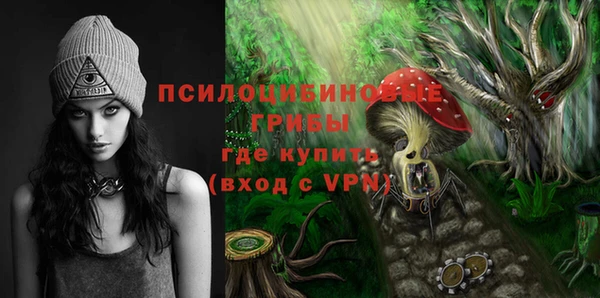 первитин Михайлов