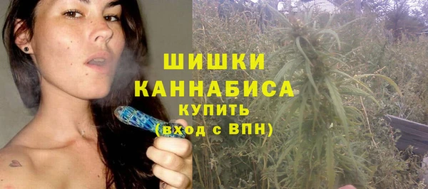 шишки Медногорск