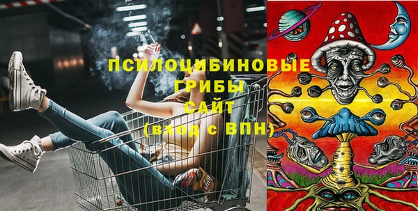 герыч Мегион