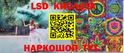 крисы Аргун