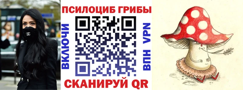 omg Владикавказ Псилоцибиновые грибы Cubensis