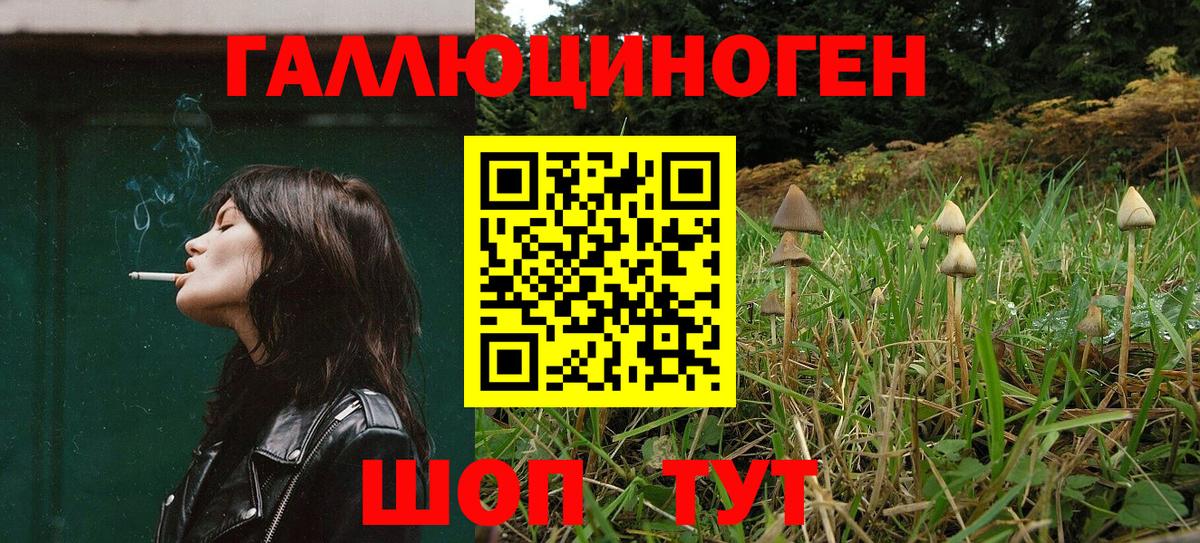 Псилоцибиновые грибы Psilocybine cubensis  Псилоцибиновые грибы ЛСД  Владикавказ 