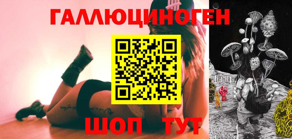 Псилоцибиновые грибы Cubensis Владикавказ
